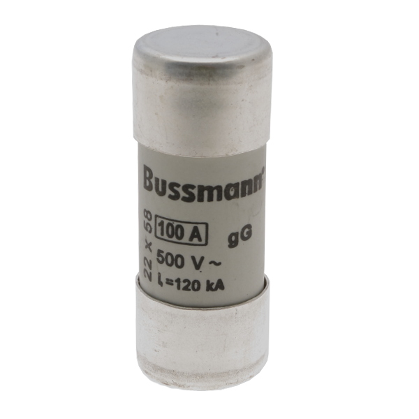 22X58 gL FUSE 100A